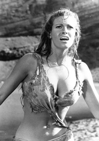 Raquel Welch