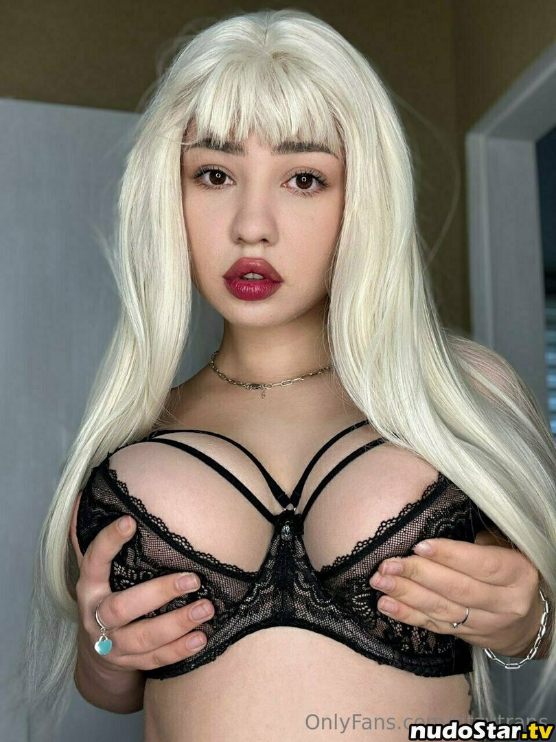 ritzytrans Nude OnlyFans Leaked Photo #123