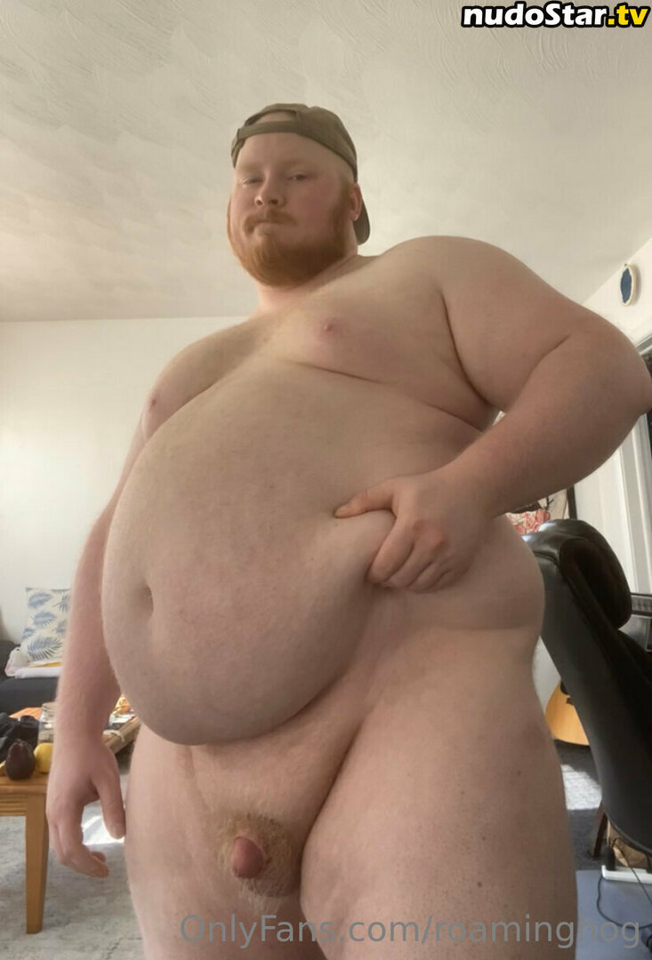 roaminghog / theroaminghog Nude OnlyFans Leaked Photo #84