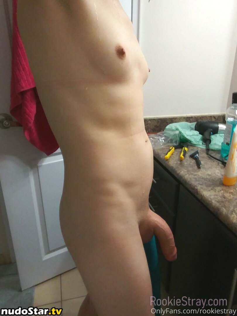 rookiestray / straykidsworld__ Nude OnlyFans Leaked Photo #30