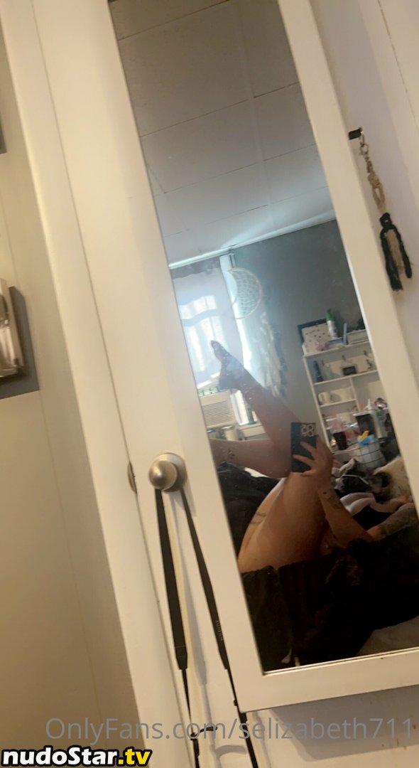Sarah Elizabeth / sarah_elizab / selizabeth711 Nude OnlyFans Leaked Photo #4