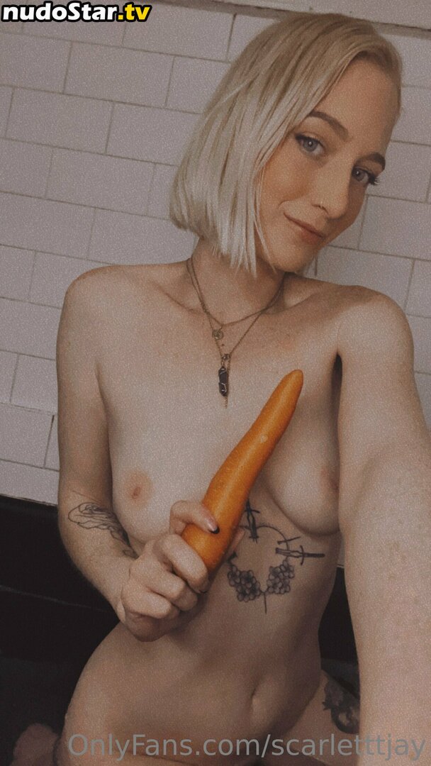 scarletttjay Nude OnlyFans Leaked Photo #55