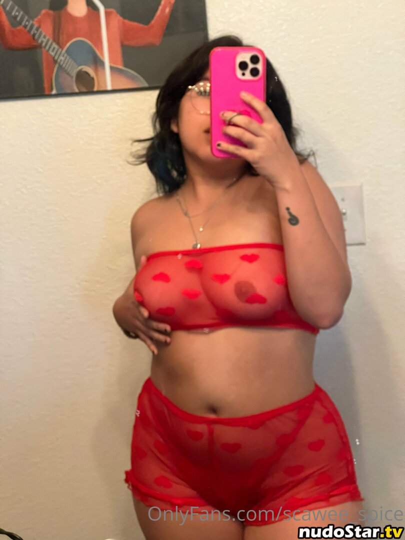 callmespice / scawee_spice Nude OnlyFans Leaked Photo #10