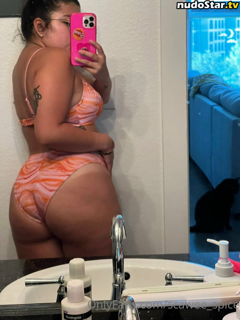 callmespice / scawee_spice Nude OnlyFans Leaked Photo #15