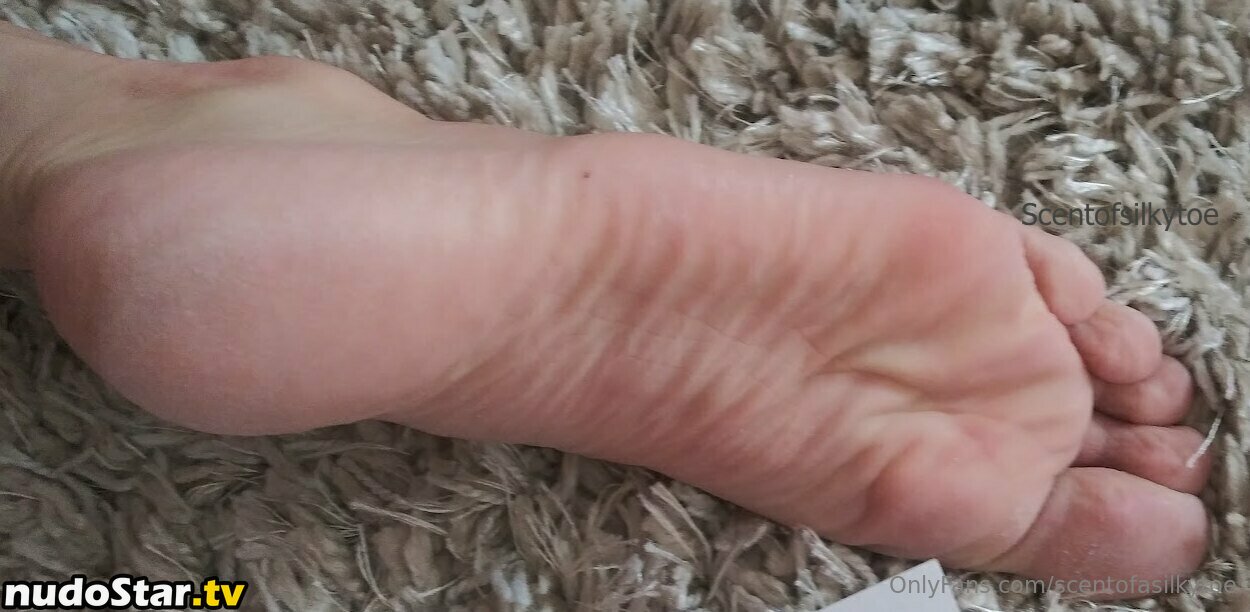 scent_of_a_baby / scentofasilkytoe Nude OnlyFans Leaked Photo #3