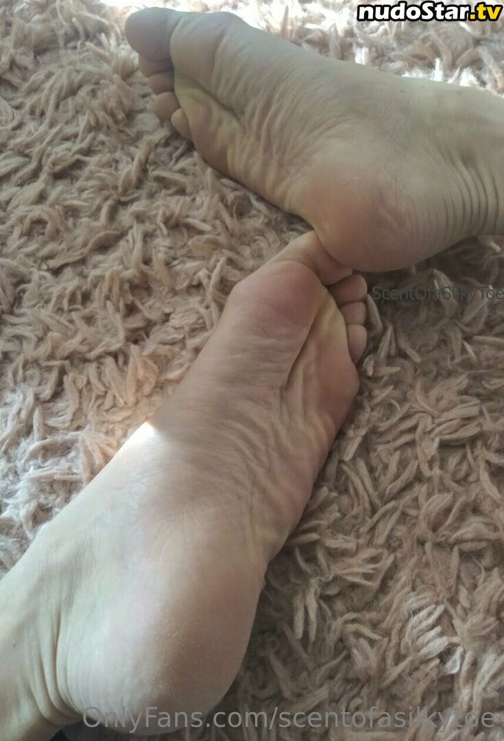 scent_of_a_baby / scentofasilkytoe Nude OnlyFans Leaked Photo #4
