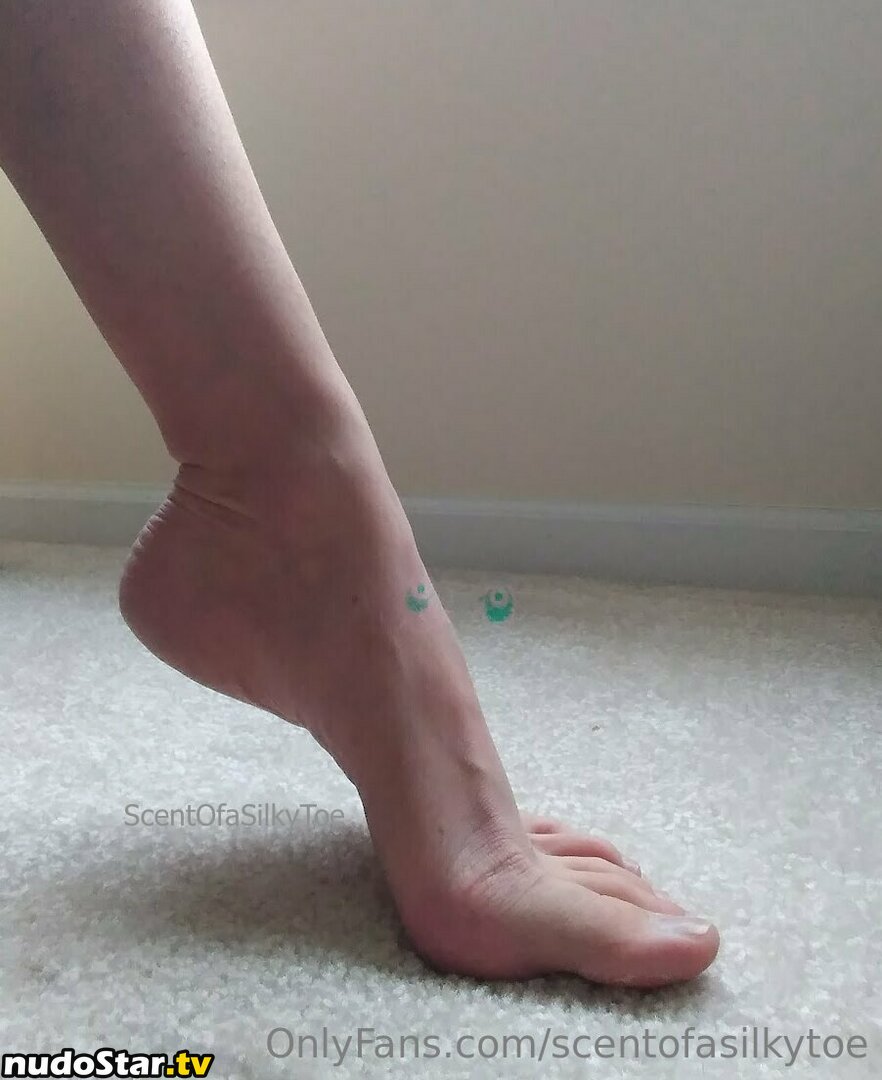 scent_of_a_baby / scentofasilkytoe Nude OnlyFans Leaked Photo #6