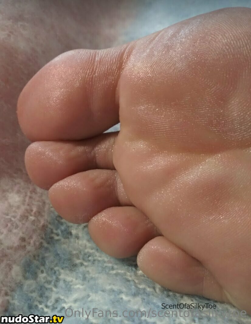 scent_of_a_baby / scentofasilkytoe Nude OnlyFans Leaked Photo #11