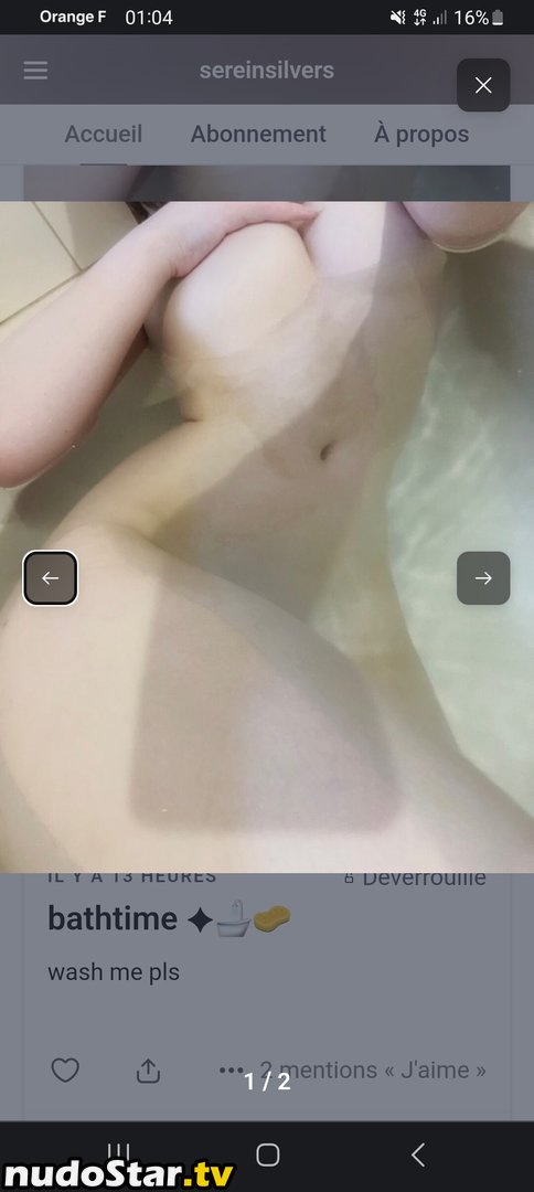 sereinsilvers Nude OnlyFans Leaked Photo #6