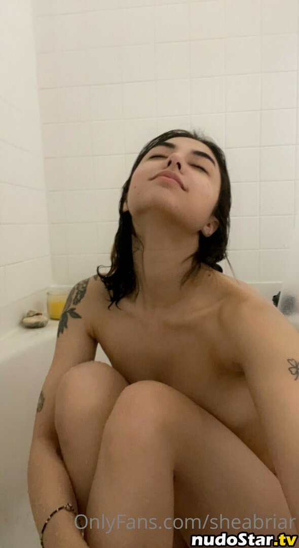 Shea Briar / https: / shea.briar / sheabriar Nude OnlyFans Leaked Photo #97
