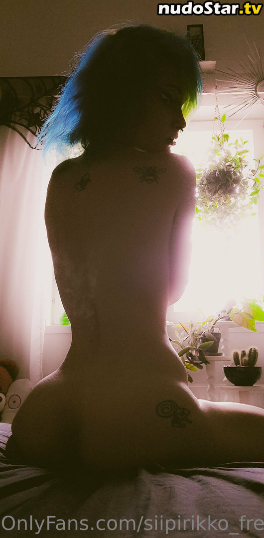 im_a_freespirit / siipirikko_free Nude OnlyFans Leaked Photo #25