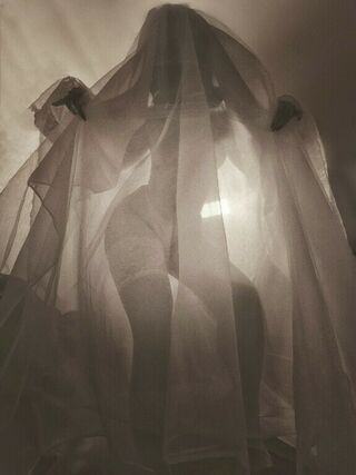 slowpenguin | sweetpengui