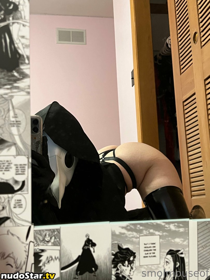 smolmouse8 / smolmouseof Nude OnlyFans Leaked Photo #43