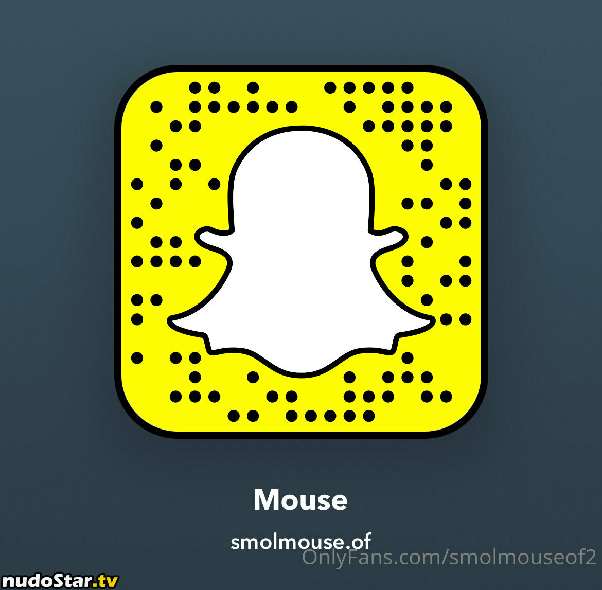 smolmouse8 / smolmouseof2 Nude OnlyFans Leaked Photo #27
