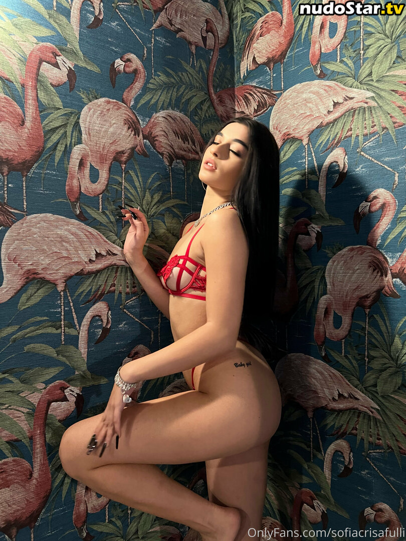 Sofia Crisafulli / Sofiacrisafulli / sofiacrisafullii Nude OnlyFans Leaked Photo #17
