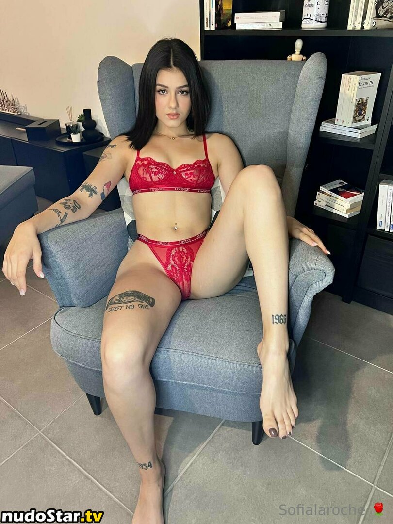 sofialaroche Nude OnlyFans Leaked Photo #53