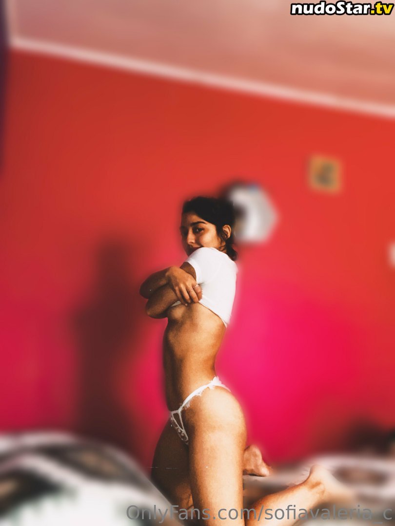 sofiavaleria_c Nude OnlyFans Leaked Photo #11
