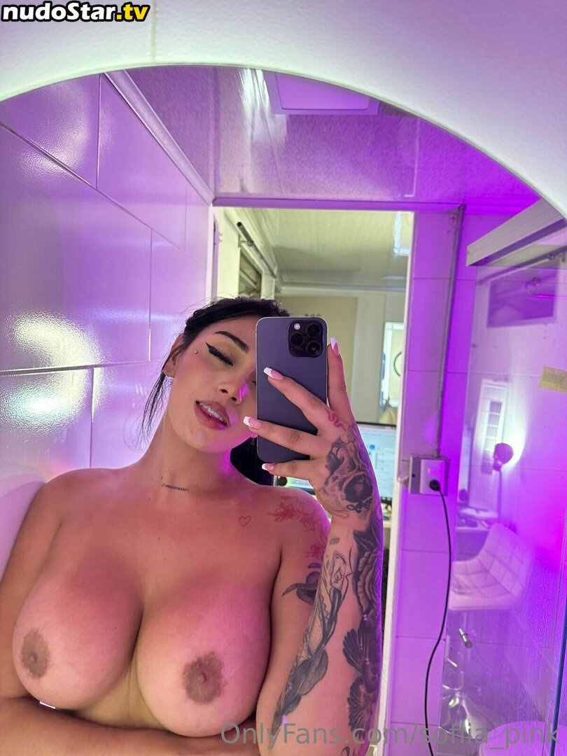 sofiia_pink Nude OnlyFans Leaked Photo #4