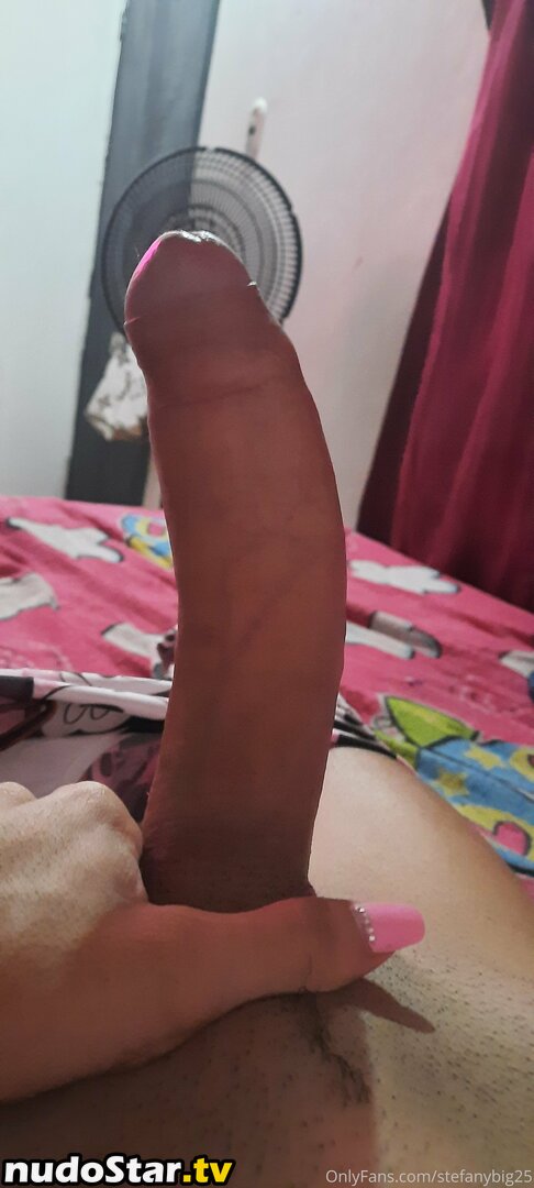 _stefany25 / stefanybig25 Nude OnlyFans Leaked Photo #22