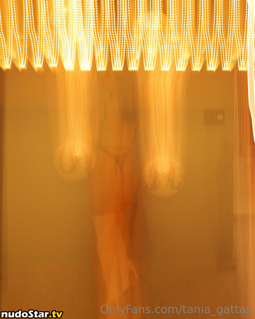 Tania Gattas / tania_gattas / taniagattas Nude OnlyFans Leaked Photo #165