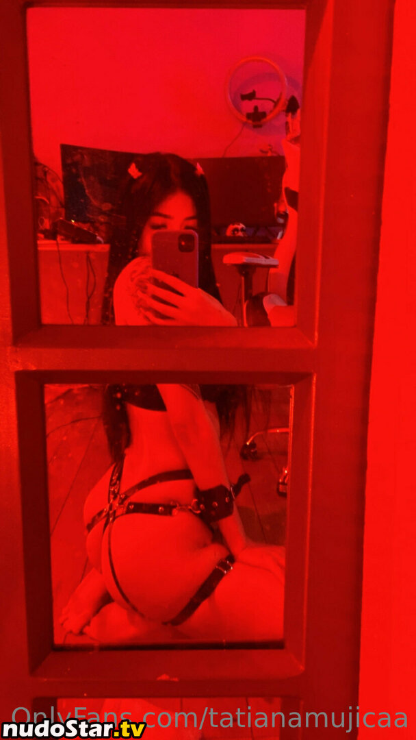 tatianamujicaa Nude OnlyFans Leaked Photo #9