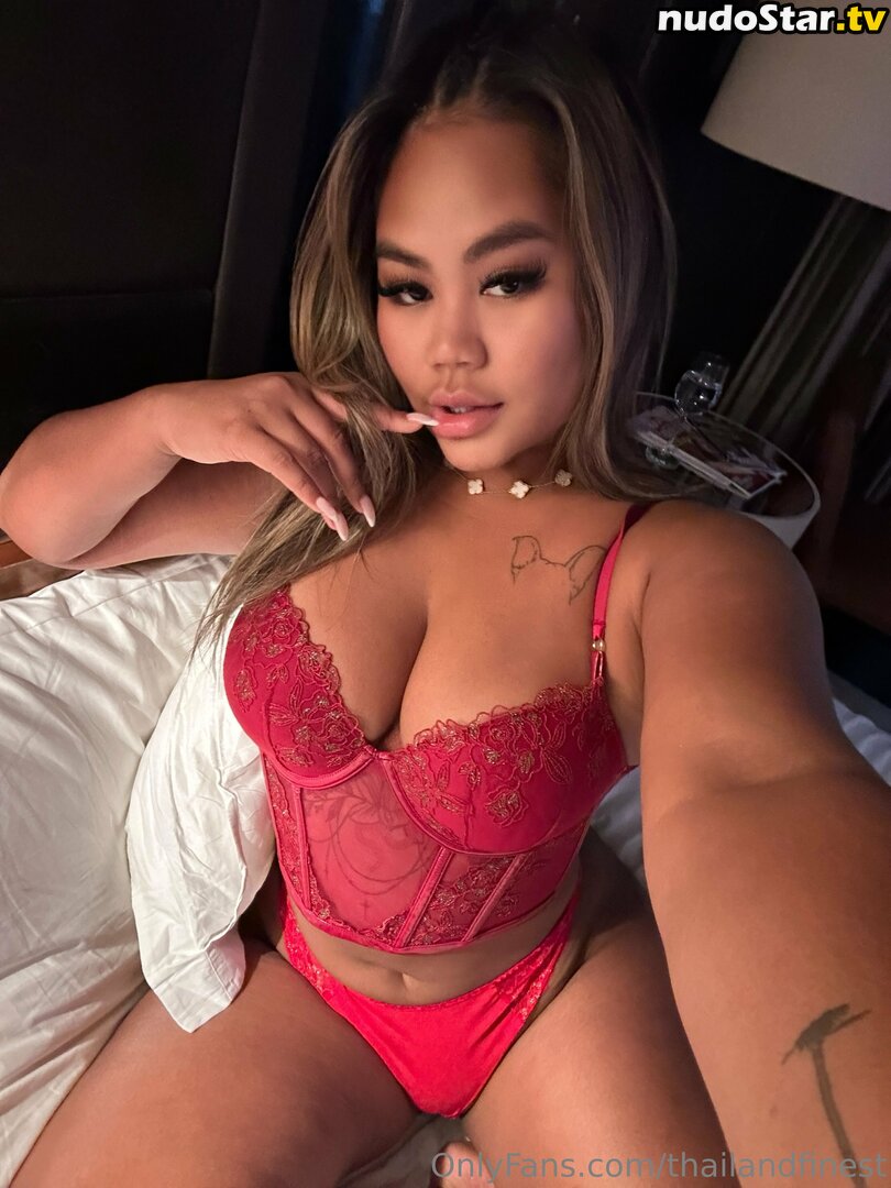 thailandfinest Nude OnlyFans Leaked Photo #80