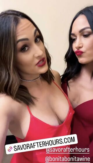 The Bella Twins