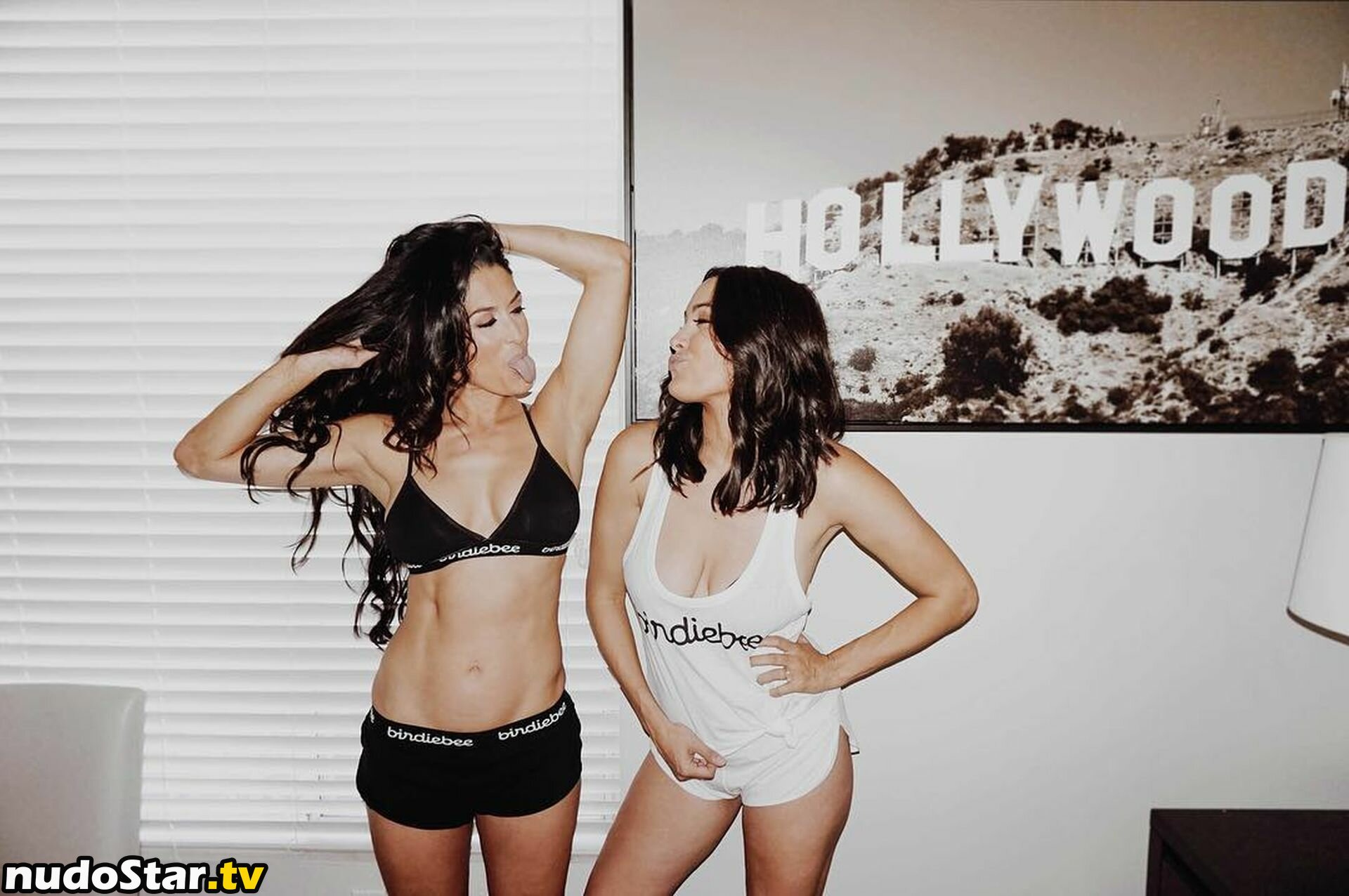 Nikki Bella & Brie Bella / The Bella Twins / thenikkibella Nude OnlyFans Leaked Photo #432