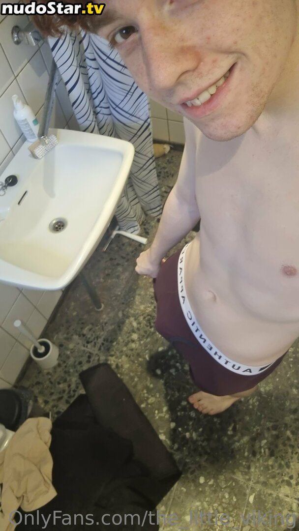 the_little_viking Nude OnlyFans Leaked Photo #6