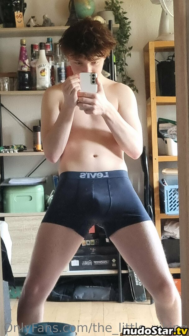 the_little_viking Nude OnlyFans Leaked Photo #9