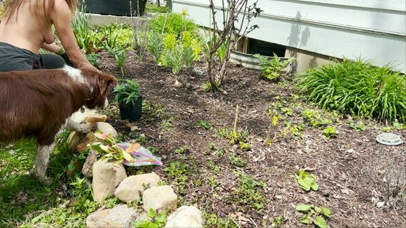 The Naked Gardener