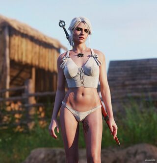 The Witcher