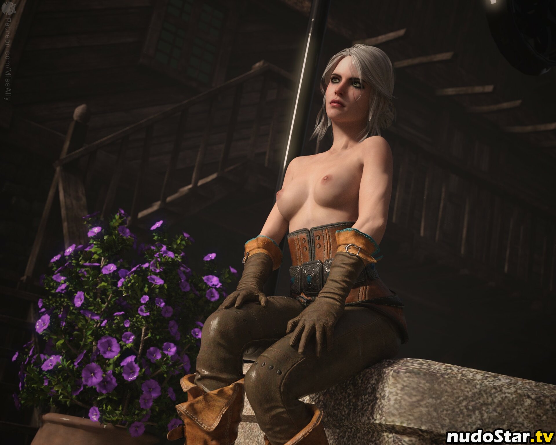 The Witcher Nude OnlyFans Leaked Photo #800