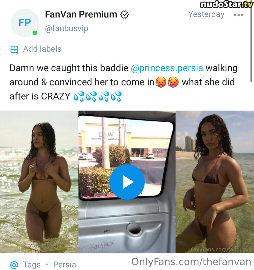 thefanbusig / thefanvan Nude OnlyFans Leaked Photo #1