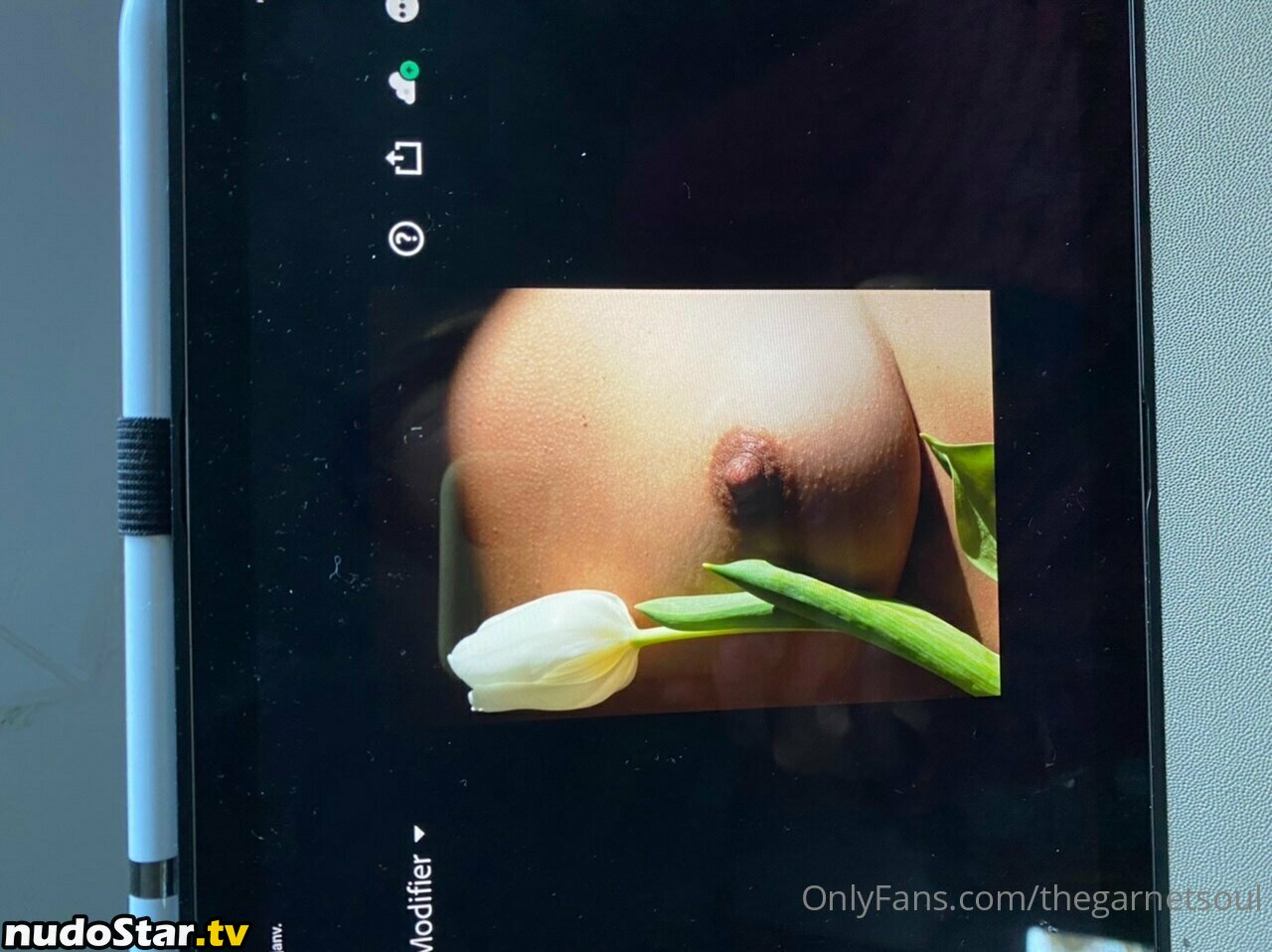 robincy / robincyn / thegarnetsoul Nude OnlyFans Leaked Photo #35