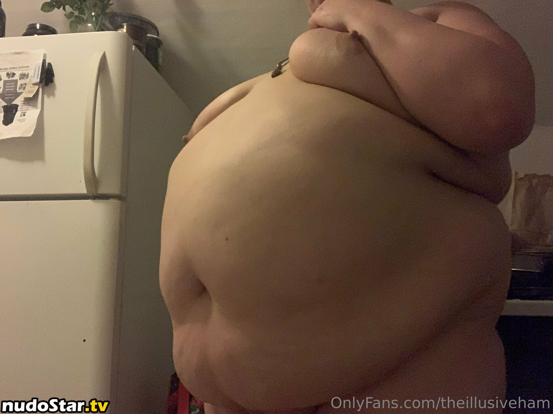 theillusiveham Nude OnlyFans Leaked Photo #59