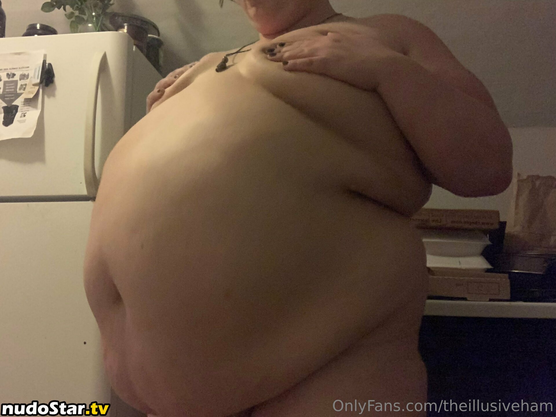 theillusiveham Nude OnlyFans Leaked Photo #60