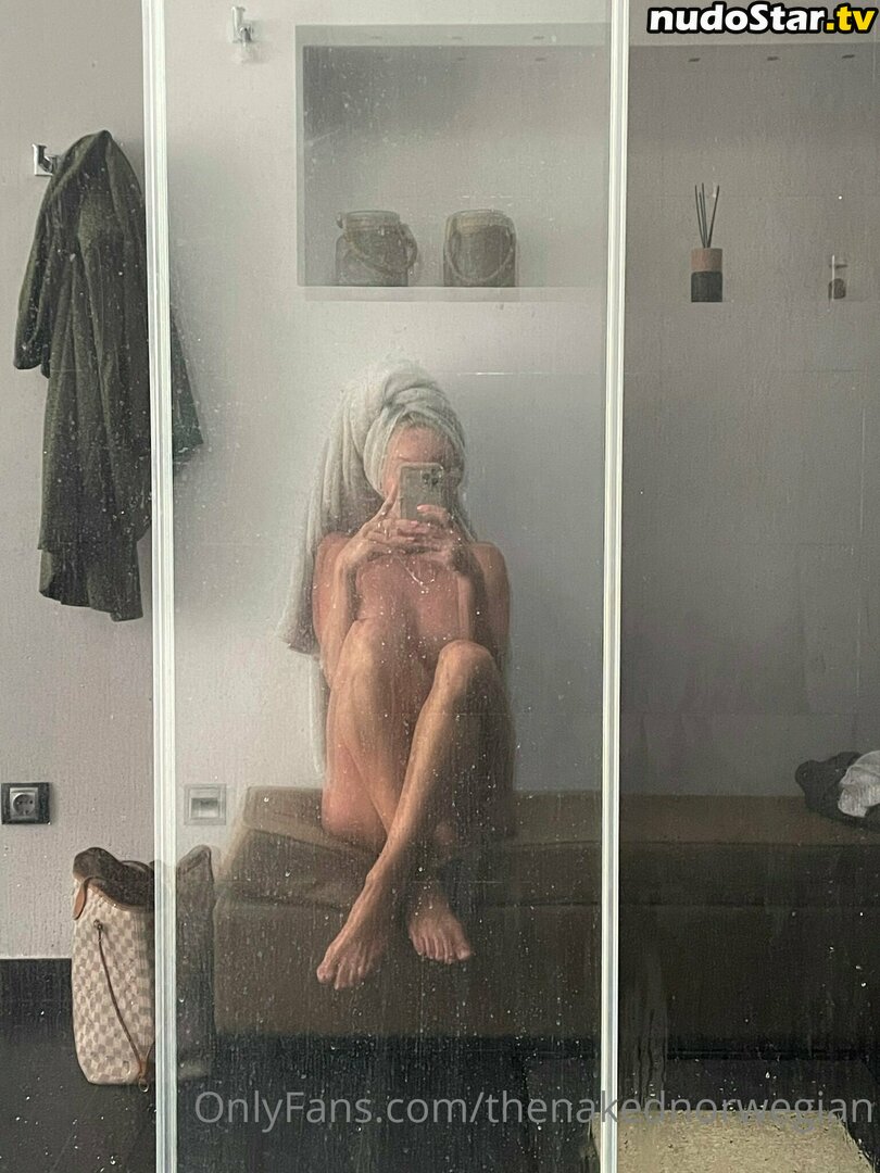 thenakednorwegian Nude OnlyFans Leaked Photo #20
