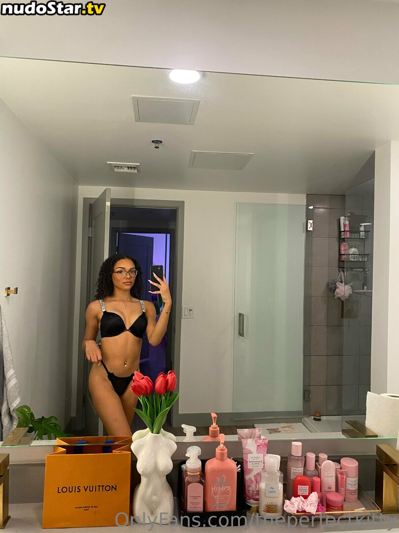 theperfectkitty Nude OnlyFans Leaked Photo #47