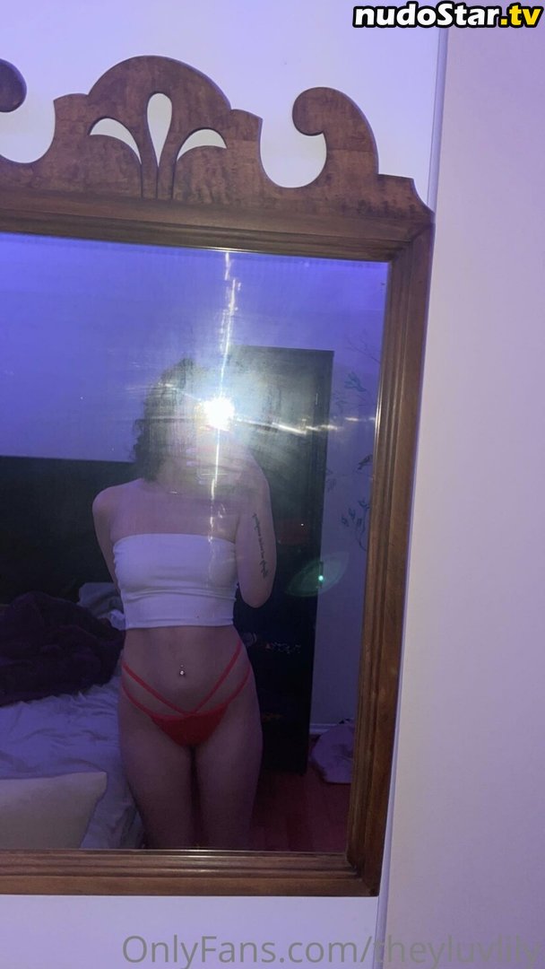 helovelily / lilynajahh / theyluvbabyy / theyluvlily Nude OnlyFans Leaked Photo #6