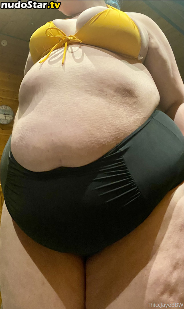 bigb00ty_nojudy / thiccjayebbw Nude OnlyFans Leaked Photo #14