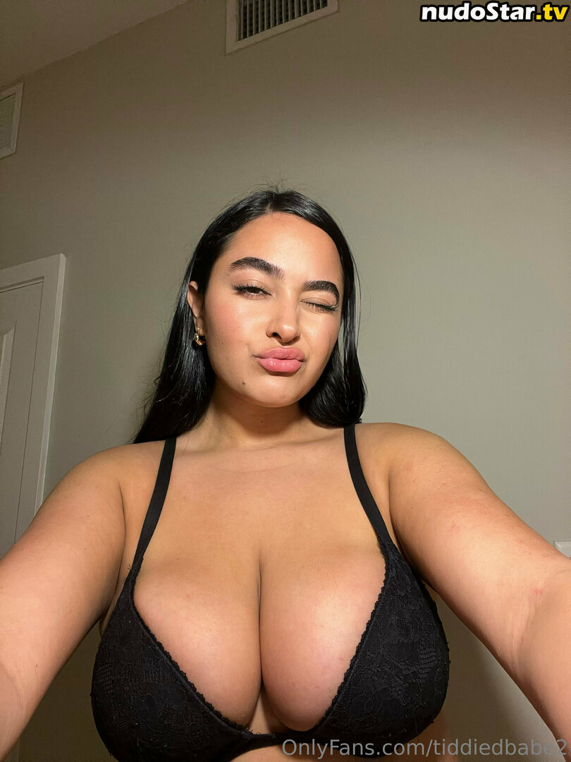 tiddiedbabe2 Nude OnlyFans Leaked Photo #10