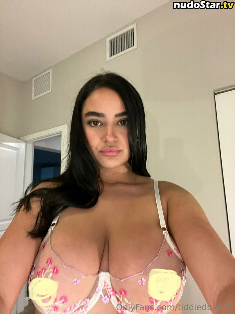 tiddiedbabe2 Nude OnlyFans Leaked Photo #11