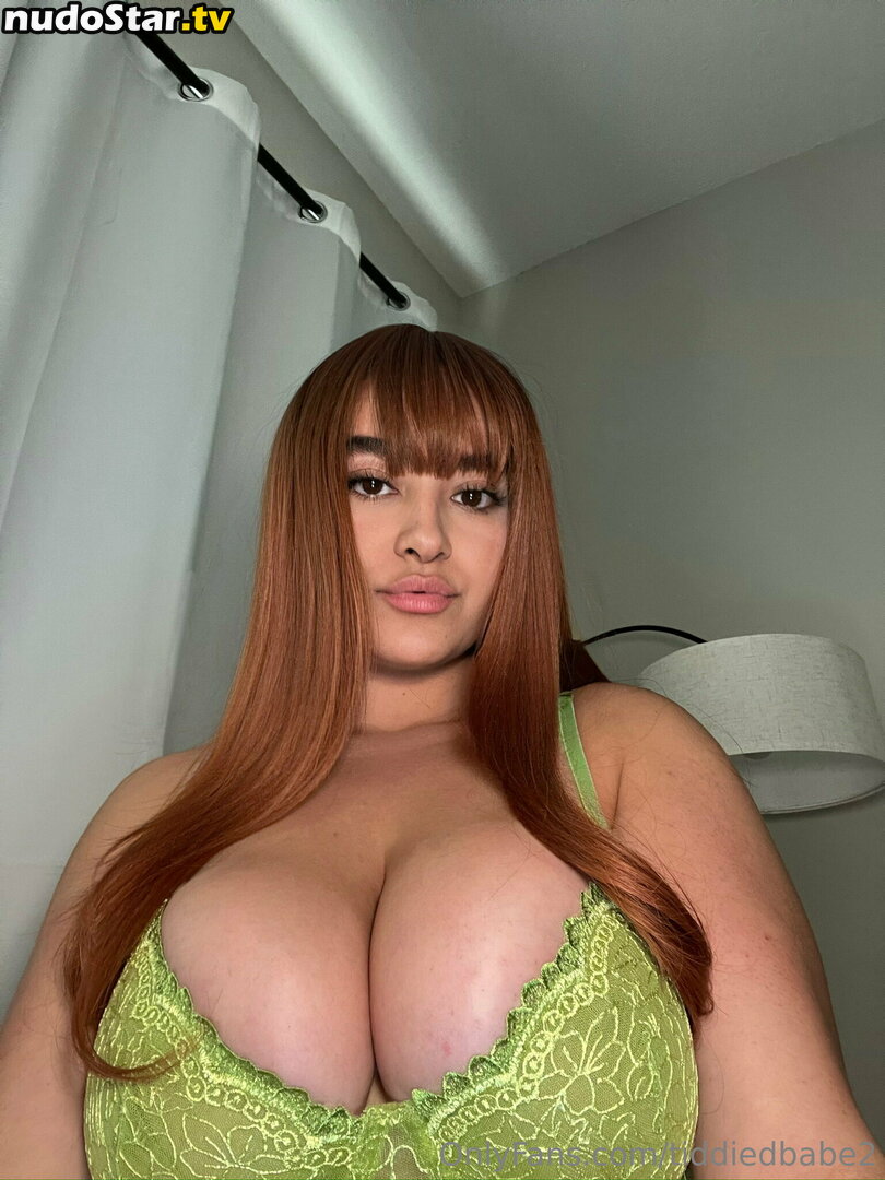 tiddiedbabe2 Nude OnlyFans Leaked Photo #14