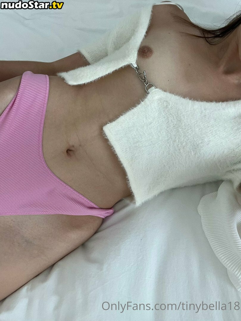 bellahadid / tinybella18 Nude OnlyFans Leaked Photo #93