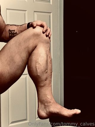 tommy_calves