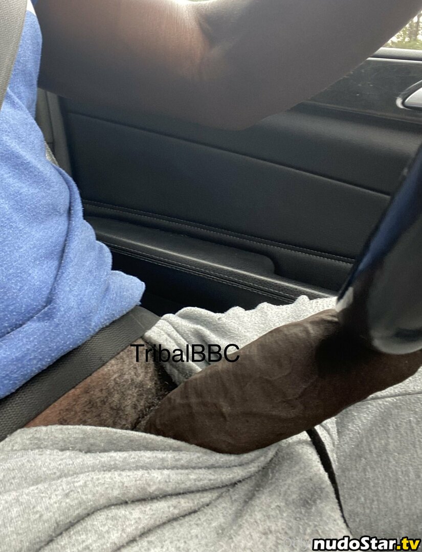 reel / tribalbbc Nude OnlyFans Leaked Photo #15