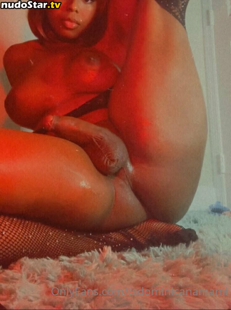 igdominicanas / tsdominicanamami Nude OnlyFans Leaked Photo #3