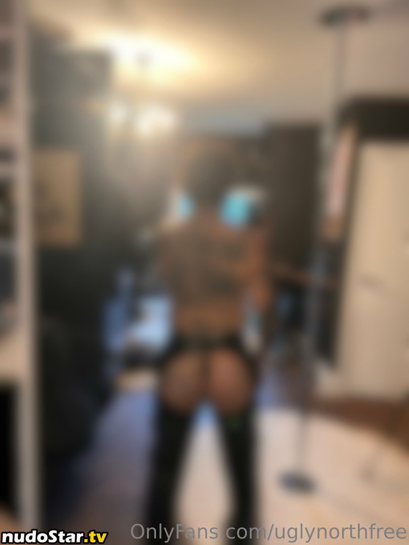 uglynorthfree Nude OnlyFans Leaked Photo #3
