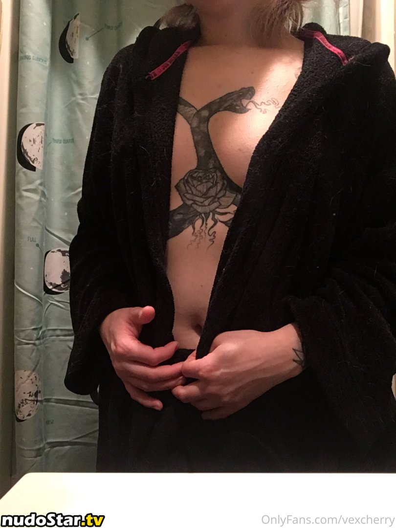 hannys_of_rochester / vexcherry Nude OnlyFans Leaked Photo #28